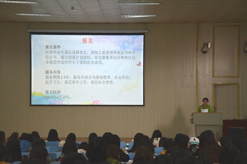 太阳成集团122cc官网入口召开2019届毕业生就业指导会